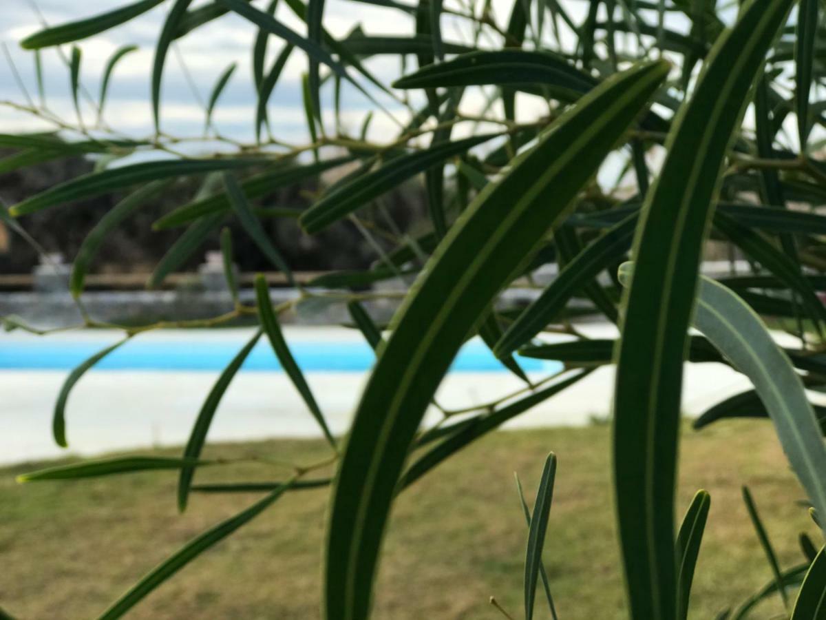 Villa Elisabeth ปลากา ภายนอก รูปภาพ